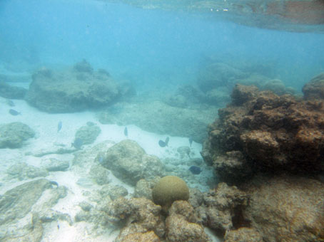 Подводный мир коралловой лагуны атолла Сомбреро.
