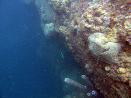 Снова фотография затонувшего в водах Карабобо корабля.