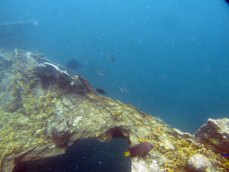 Снова фотография затонувшего в водах Карабобо корабля.