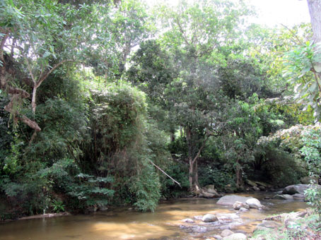 Река Чорони протекает через село Чорони.