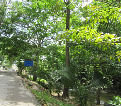 Дорога в село Чорони идёт по долине речки Чорони.