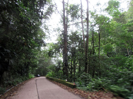 Дорога из Чорони в Маракай.