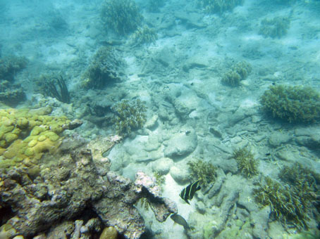 Коралловая отмель недалеко от острова Длинный (Исла Ларга).