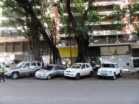 Это уже в Каракасе недалеко от гостиницы Гран Мелия. Меня впечатлили корни деревьев в переулочке в Каракасе.
