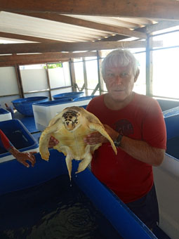 На ферме по разведению морских черепах на атолле Моски Сур архипелага Лос Рокес 16.07.2022.