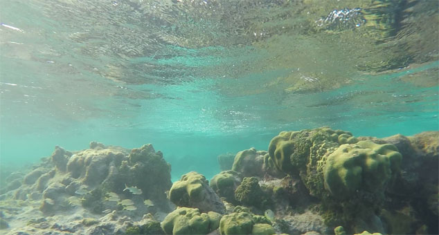 Подводный мир в коралловой лагуне атолла Франсиски архипелага Лос Рокес.