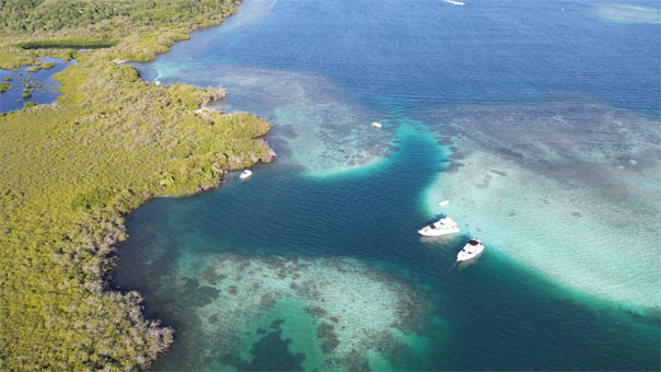 Коралловая отмель Кайман, мангровые отмели и посёлки в национальном парке Моррокой.