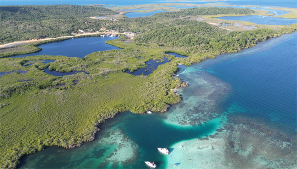 Коралловая отмель Кайман, мангровые отмели и посёлки в национальном парке Моррокой.