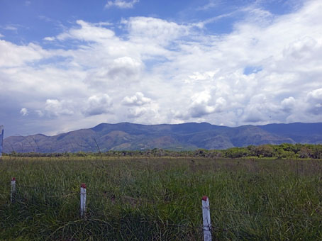 Вид на горы с территории военной базы "Толемайда".