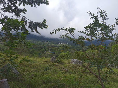 Вид на окрестности парка Куаламельгар.