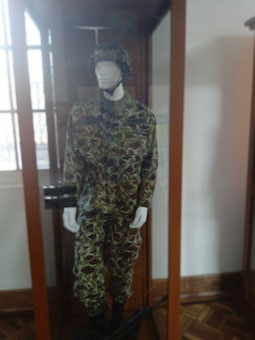 Камуфляжная расцветка в Вооружённых Силах Колумбии появилась после Корейской войны 1950-1953 годов.