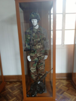 Камуфляжная расцветка в Вооружённых Силах Колумбии появилась после Корейской войны 1950-1953 годов.