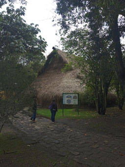 Малока - храм амазонских индейцев (название племени не было указано).