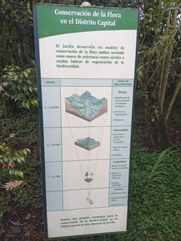 План сохранения флоры в Столичном Округе Богота.