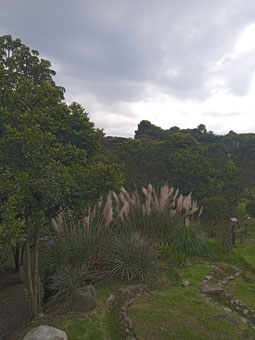 Вид на ботанический сад со смотровой площадки.