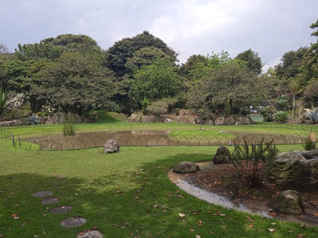 В Ботаническом саду Боготы.