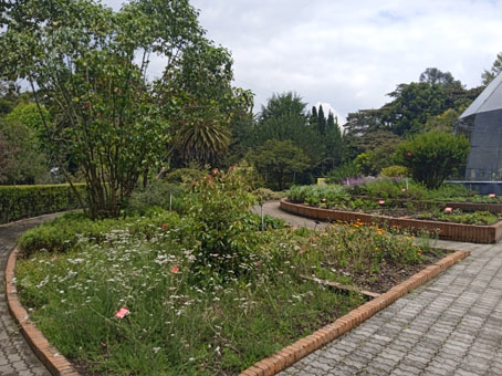 В Ботаническом саду Боготы.