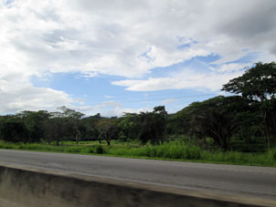 Растительность штата Яракуй по дороге в его столицу.