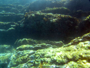 Скала Катика под водой обросла кораллами.