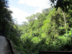 Лесные склоны по дороге в Маракай из Окумаре де ла Косто де Оро.
