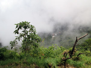 Вид на северный склон Авила, где располагался посёлок Галипан, закрывал туман. И это лучшее из того, что удалось разглядеть.