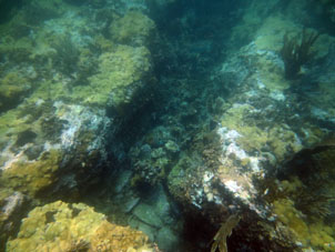Плиты песчаника, поросшие кораллами на рифе между Катикой и восточной (частной) Катой.