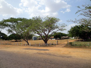 Пригород Камагуана вблизи от реки Апуре.