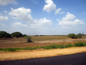 Сельскохозяйственная ферма вблизи от поймы Апуре.