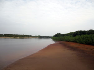 Река  Капанапаро, тоже приток Ориноко.