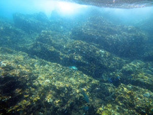 Ныряем у того рифа, который показан в начале странички (на фотографии от 1-го мая).