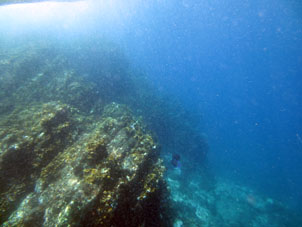 Горные породы подводной скалы обросли кораллами.