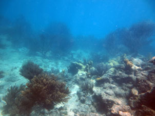 Карибское море за коралловым рифом атолла Сомбреро в национальном парке Моррокой.