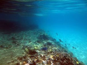 Коралловый риф прямо перед пляжем Катика, над которым лодочники любят оставлять свои лодки.