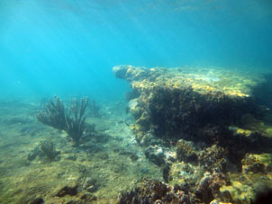 Коралловый риф у берега рядом с пляжем Катика в воскресенье рано утром, когда нет ещё лодок.