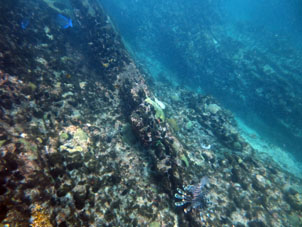 Скала под водой, отделяющая бухту Ката от Карибского моря.
