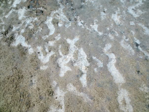 На песке около уреза воды образовалась соль. "Соль" по-испански будет "саль", как и название острова.