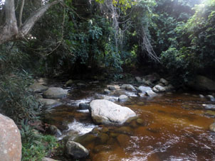 Река в Куягуа.