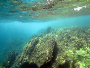 Под водой у скал у берегов Карабобо (к востоку от Патанемо).