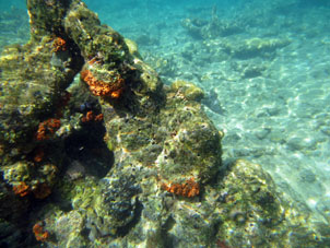 Коралловая отмель около острова Длинный (Исла Ларга).