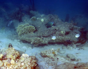 А это склон коралловой отмели около острова Длинный (Исла Ларга).