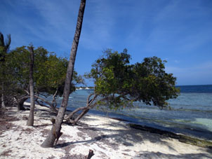 Когда так фотографируют пляжи на Мальдивах, то пишут "рай на Земле". А это просто пляж Меру в парке Моррокой, и здесь просто отдыхают не хуже, чем в "раю".