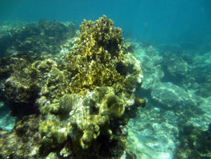 Коралловое мелководье атолла Сомбреро в национальном парке Моррокой в венесуэльском штате Фалькон..