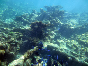 Коралловое мелководье атолла Сомбреро в национальном парке Моррокой в венесуэльском штате Фалькон.