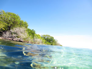 А это если вынырнуть на коралловом мелководье атолла Сомбреро в национальном парке Моррокой в венесуэльском штате Фалькон.