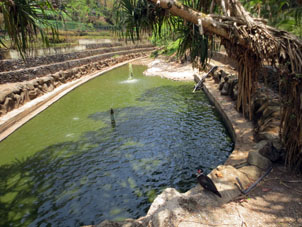 Зелёный пруд с фонтанами для уток при Аквариуме Валенсии.