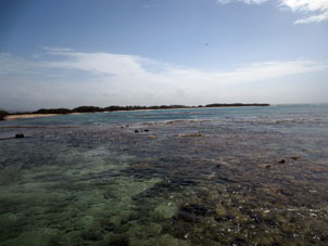 Коралловая отмель на атолле Саль в национальном парке Моррокой.