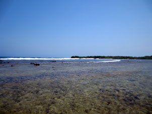 Коралловая отмель атолла Бока Сека во время отлива.