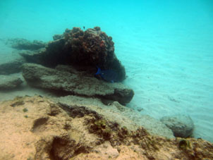 Вот он этот риф у самого пляжа Катика.
