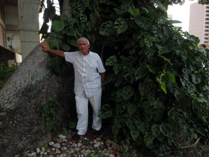 Я около дерева с досковидными корнями. Каракас, 24 июня 2016 года.