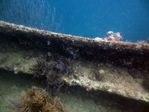 Палуба затонувшего корабля у острова Длинный.